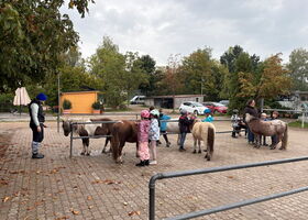 Schüler streicheln und bürsten die Ponys