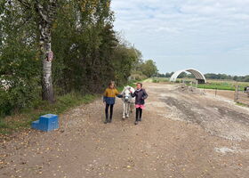 Zwei Schülerinnen führen ein Pony auf einem Schotterweg herbei