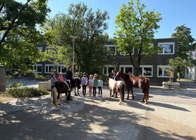 Vier Ponys vom Matthof auf dem Schulgelände zu Besuch